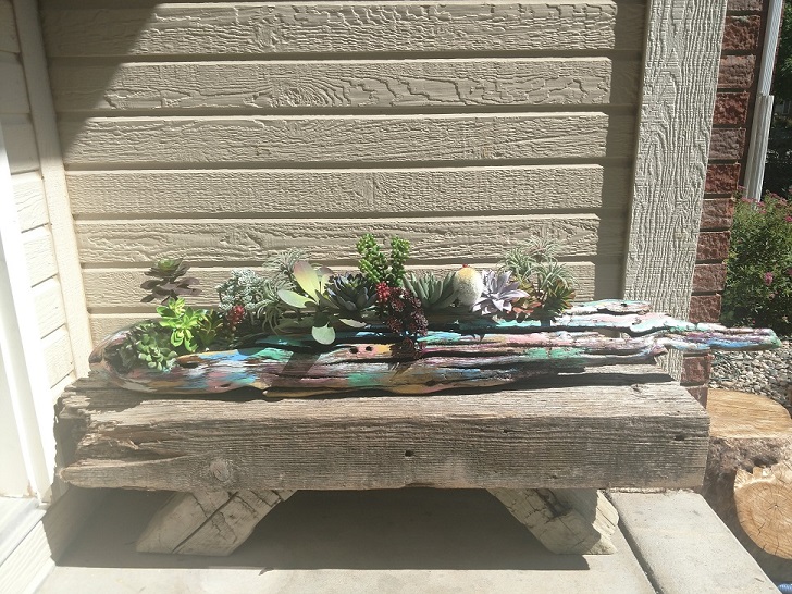 Driftwood planter holding several plants