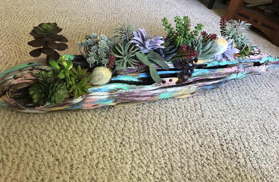 Driftwood planter holding several plants on carpet
